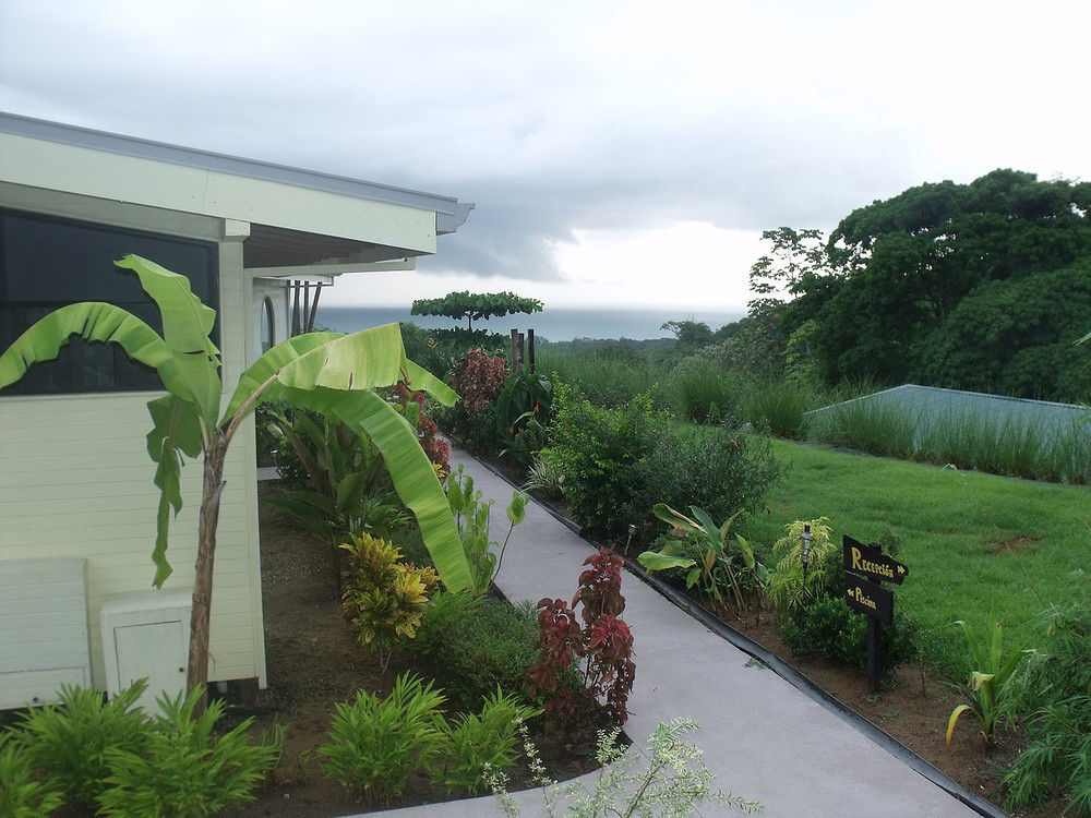 Eden Tica Lodge Uvita Extérieur photo