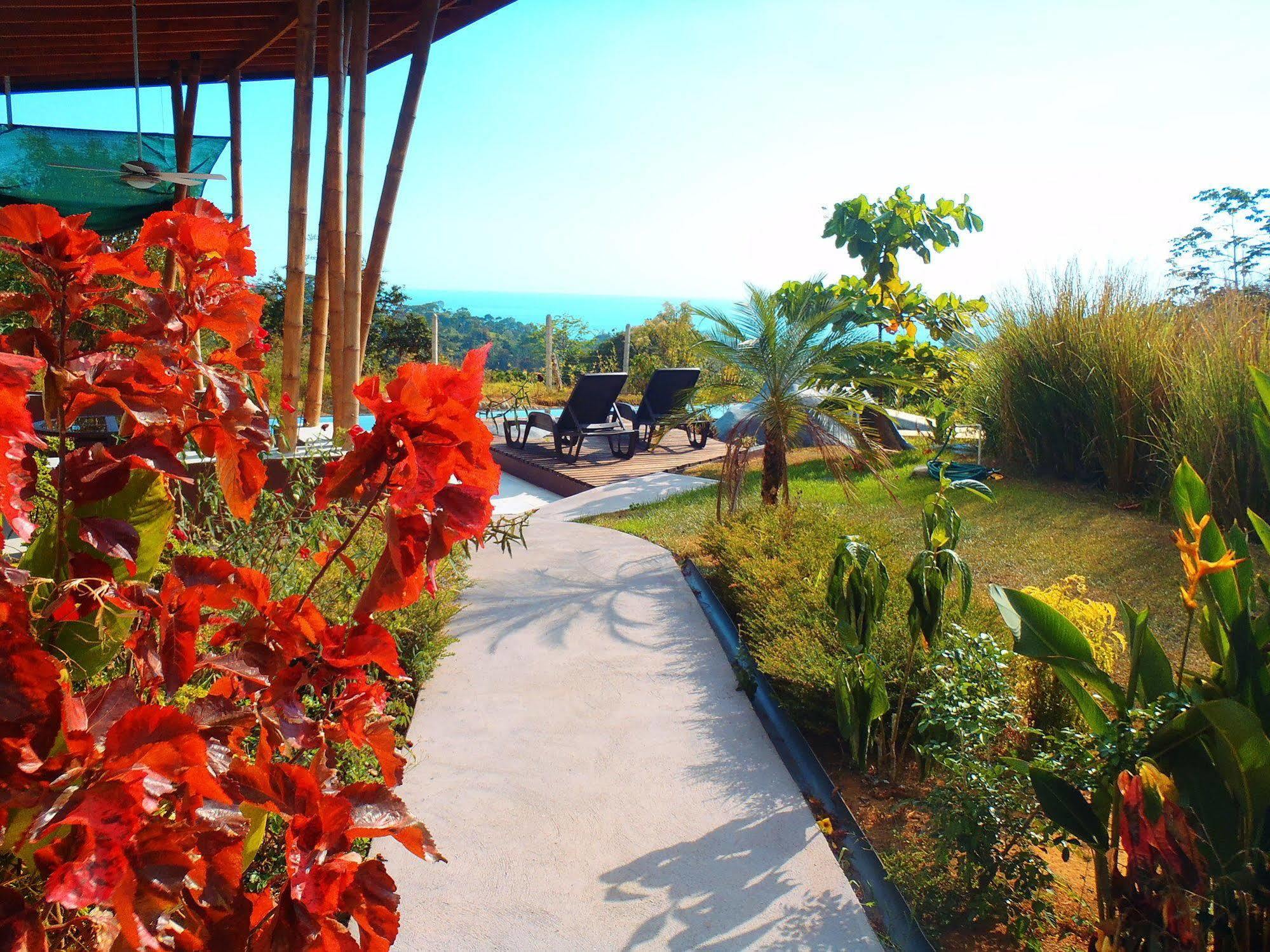 Eden Tica Lodge Uvita Extérieur photo