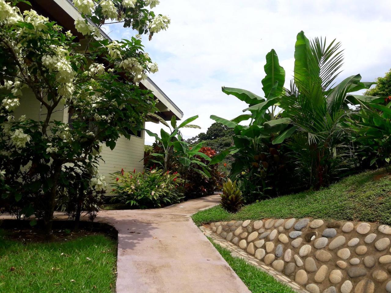Eden Tica Lodge Uvita Extérieur photo