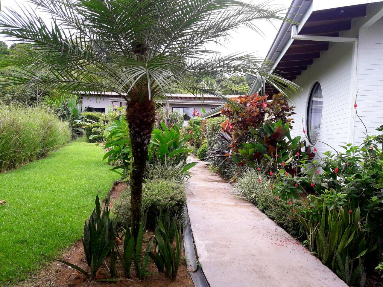 Eden Tica Lodge Uvita Extérieur photo