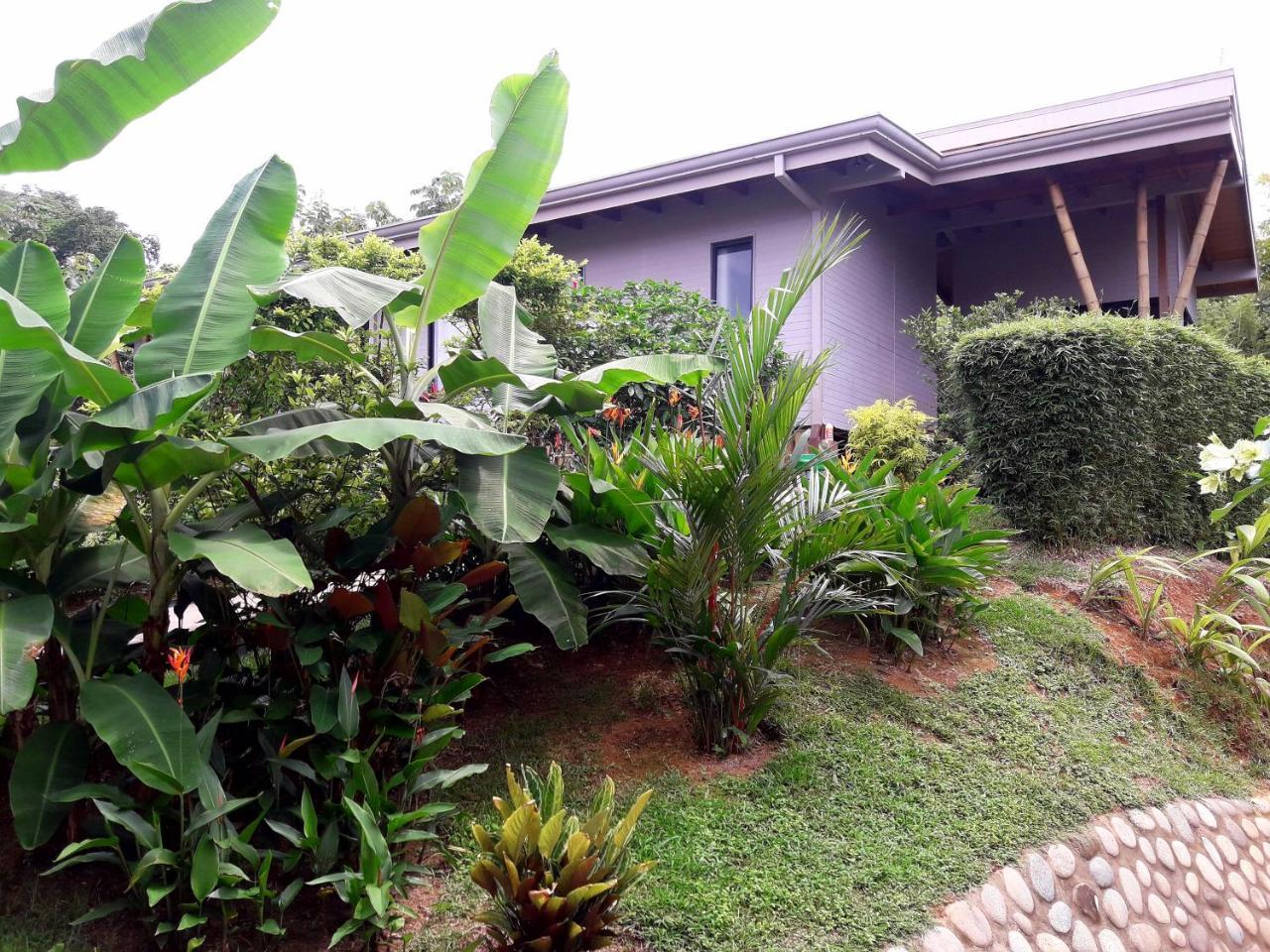 Eden Tica Lodge Uvita Extérieur photo