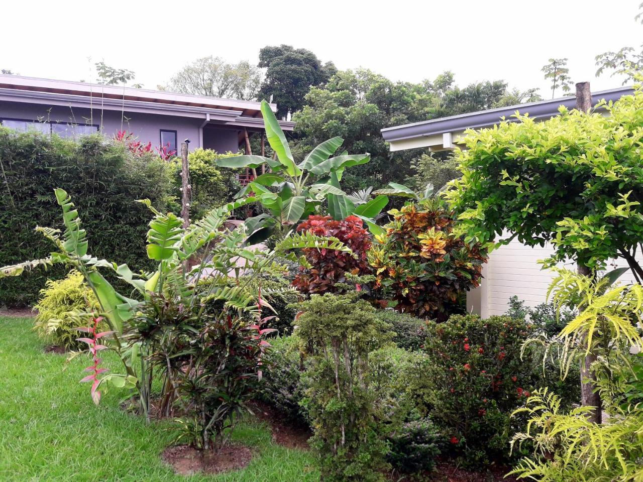Eden Tica Lodge Uvita Extérieur photo